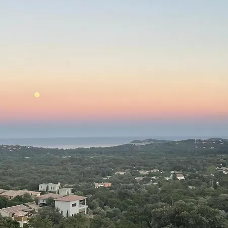 Magnifique De Standing Neuve Avec Piscine Chauffée Et Vue Mer à 180 * Conca